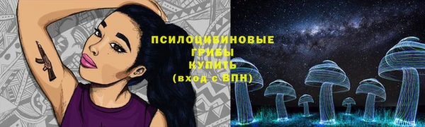 твердый Белокуриха