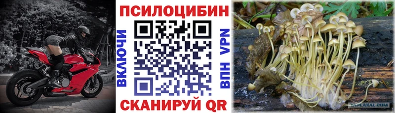 где купить наркоту  Уссурийск  Псилоцибиновые грибы Cubensis 